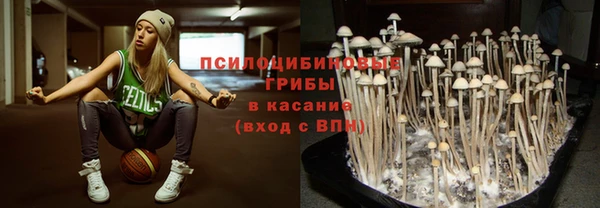 стафф Беломорск