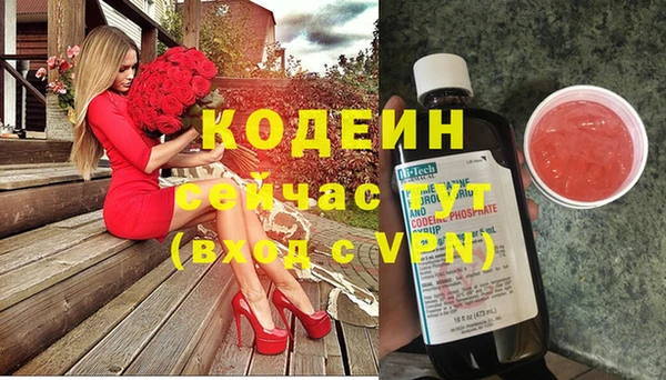 молекула духа Богданович