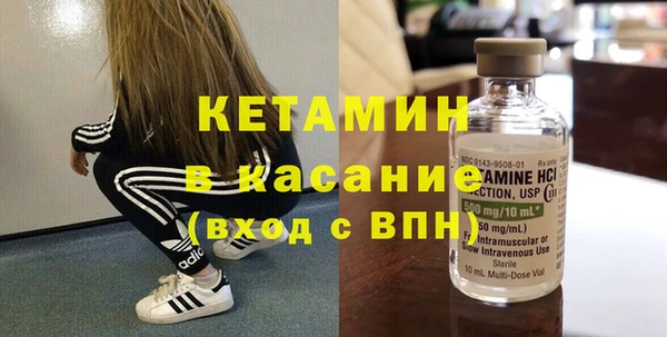молекула духа Богданович